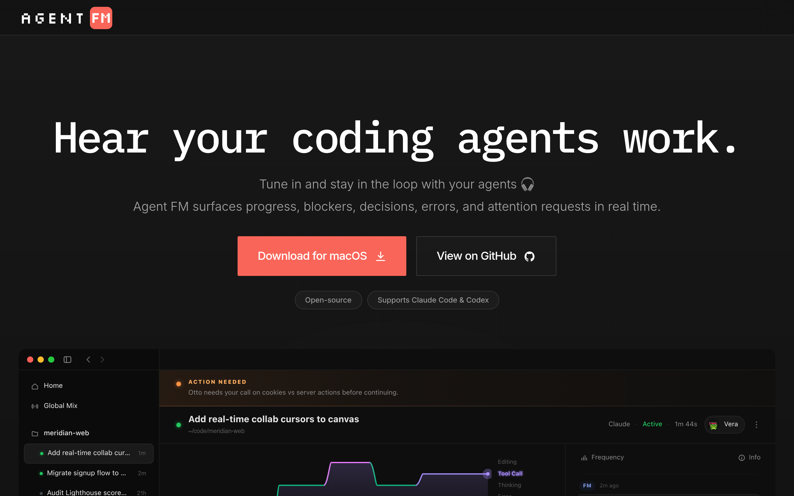Agent FM