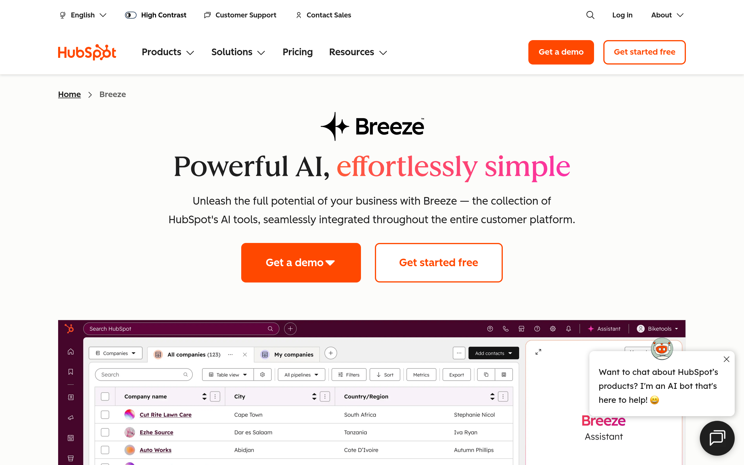 HubSpot AI
