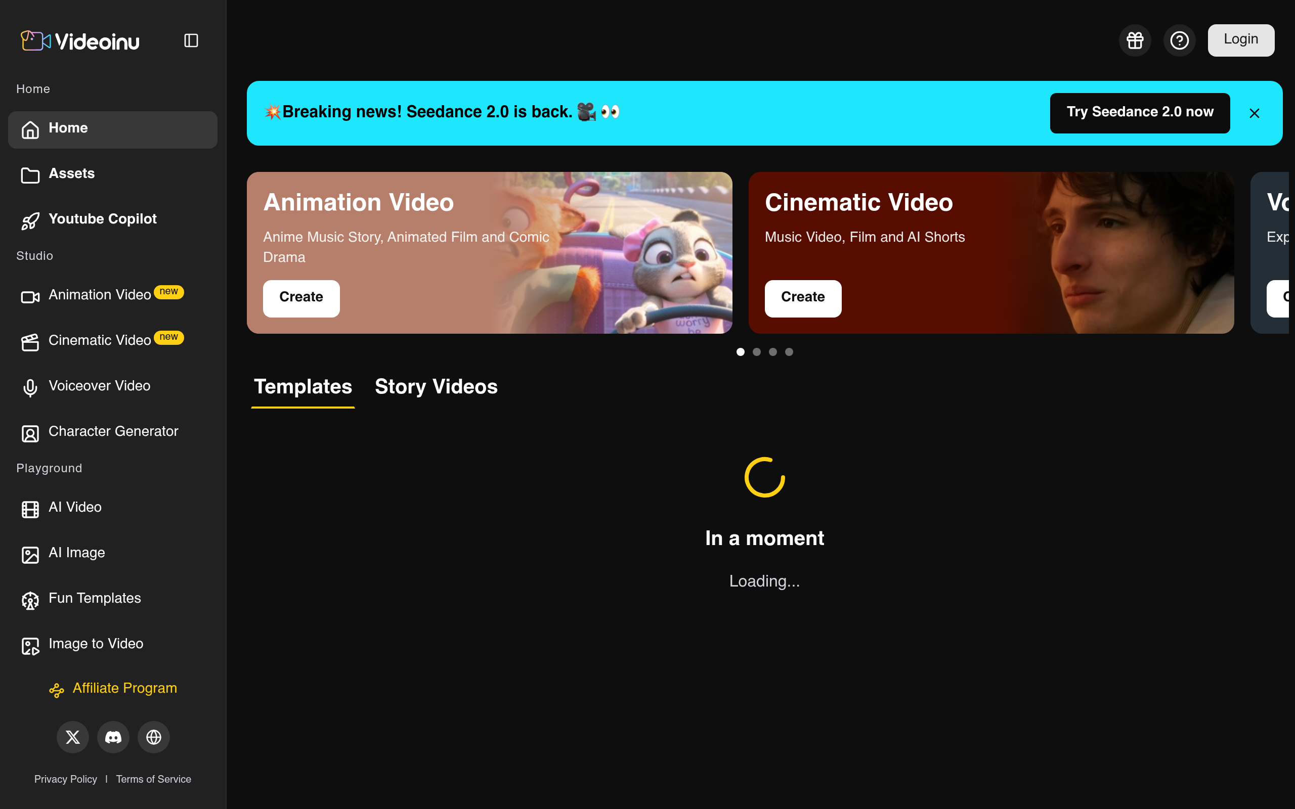Videoinu